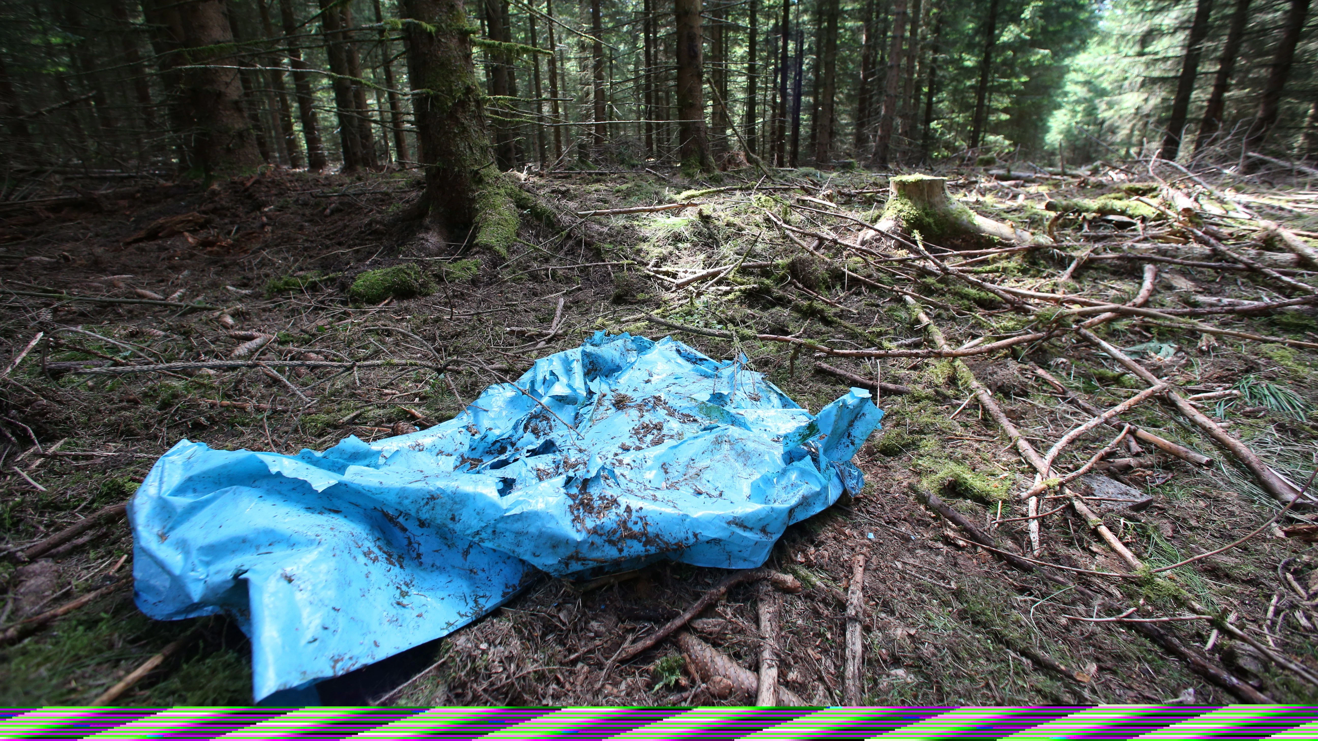Ein blauer Kunststoff-Sack liegt am Anfang Juli 2016 in einem Waldstück im Saale-Orla-Kreis bei Rodacherbrunn (Thüringen), in dem auch Skelettteile von Peggy gefunden worden waren.&nbsp;