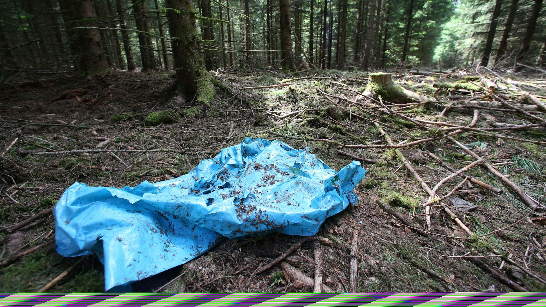 Ein blauer Kunststoff-Sack liegt am Anfang Juli 2016 in einem Waldstück im Saale-Orla-Kreis bei Rodacherbrunn (Thüringen), in dem auch Skelettteile von Peggy gefunden worden waren.&nbsp;