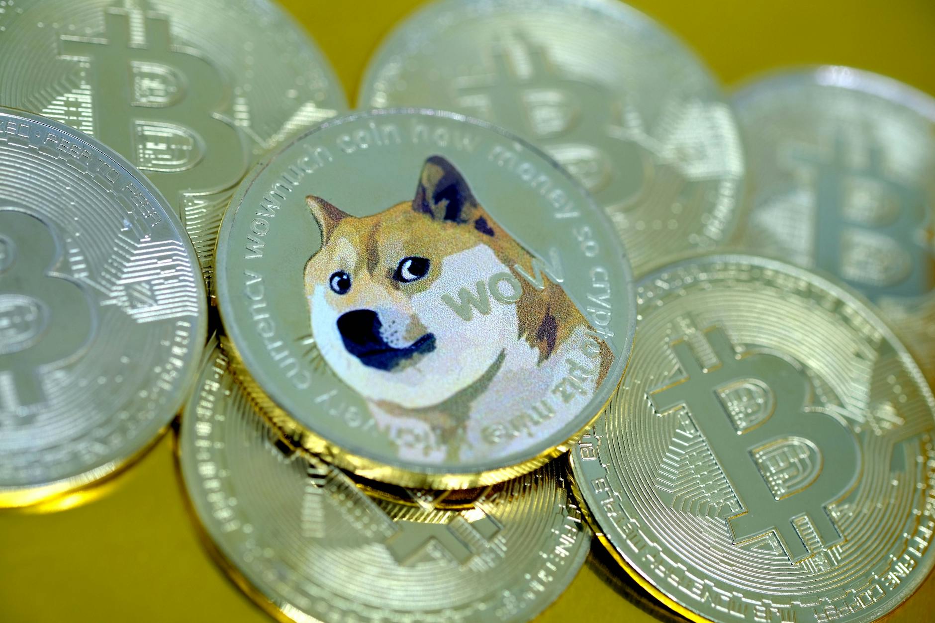 Ein Hund der japanischen Hunderasse Shiba symbolisiert den Dogecoin.