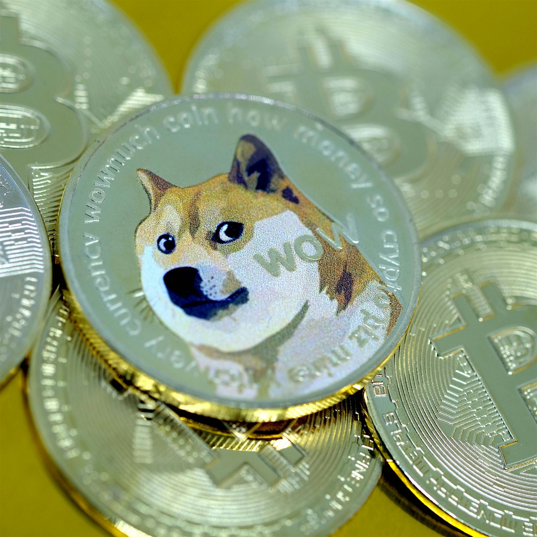 Dogecoin: Vergesslichkeit lohnt sich!