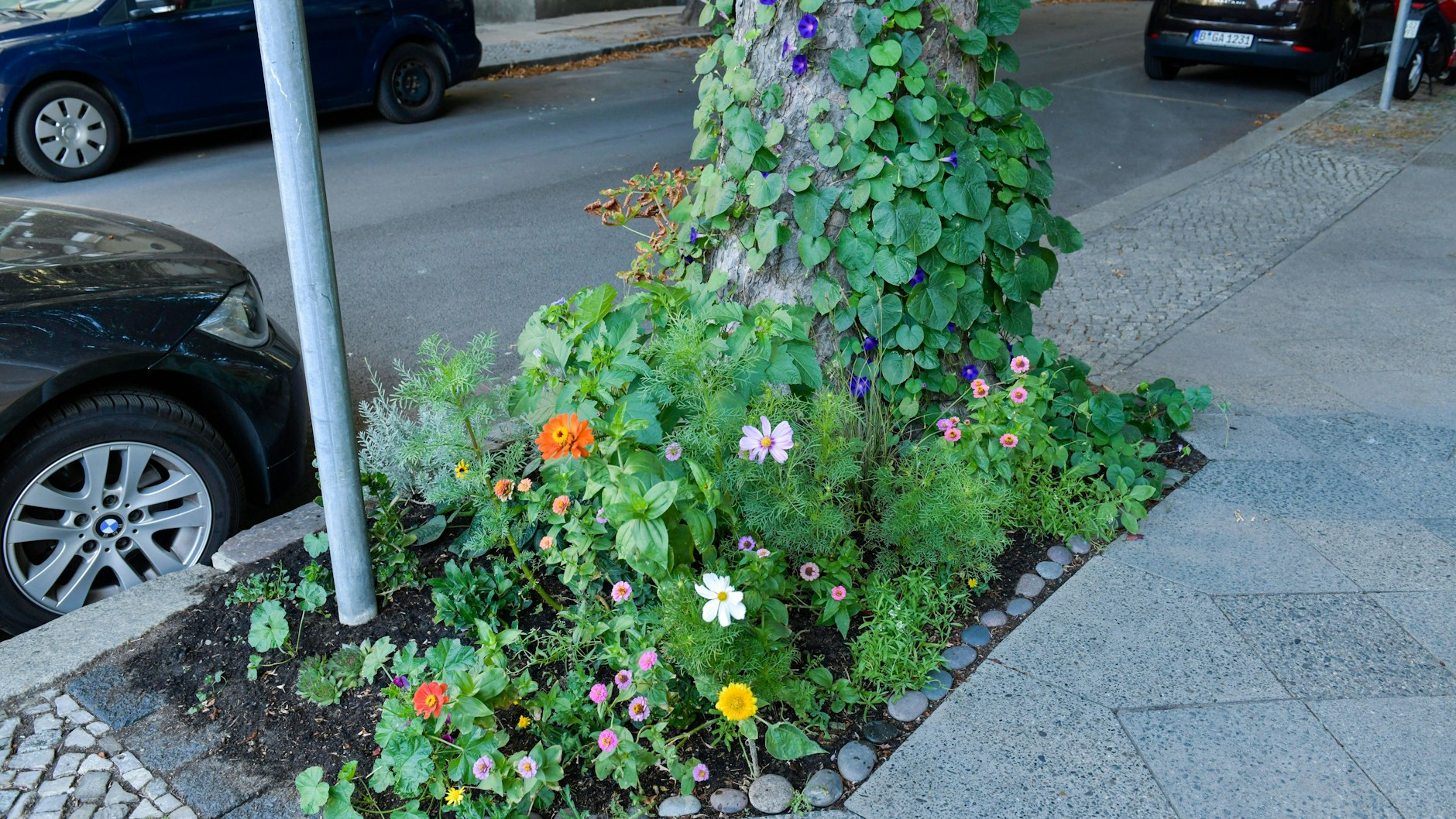 Gut so? Über die Pflanzenwahl sollte mit dem Grünflächenamt gesprochen werden.