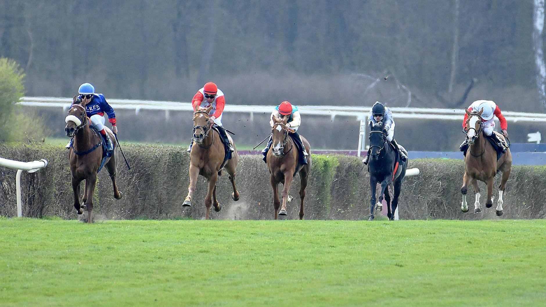 Beim kommenden Renntag in Hoppegarten präsentieren sich die Pferde vor den Saisonhöhepunkten.