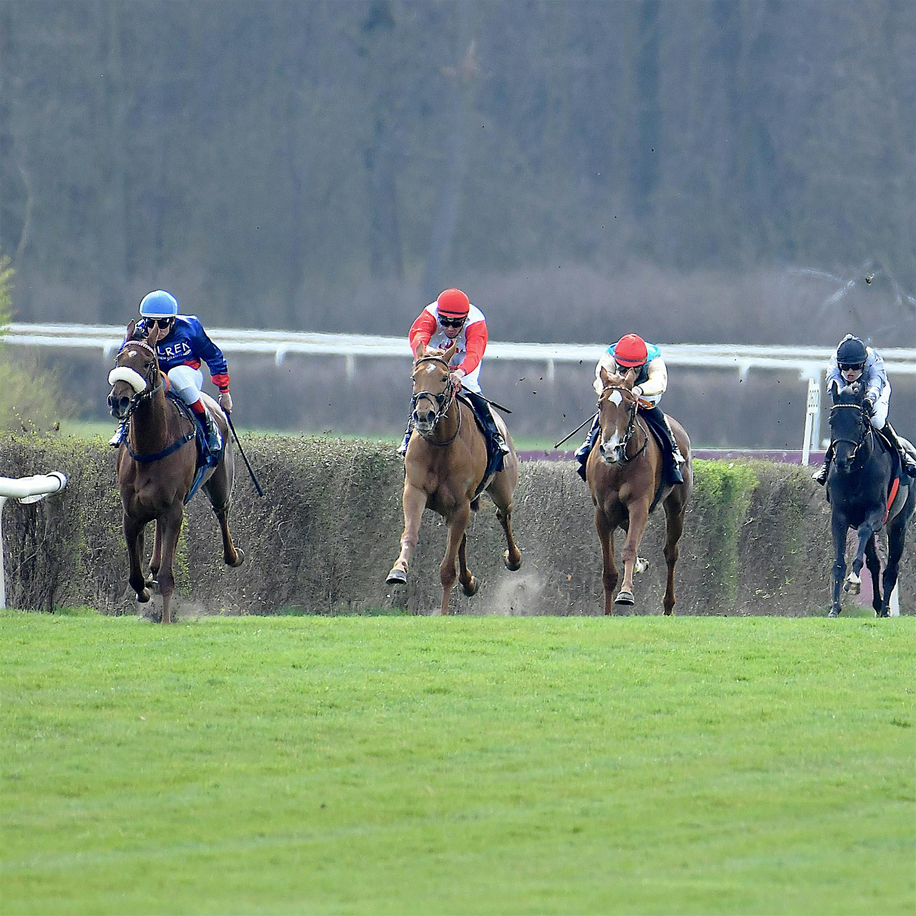 Rennbahn Hoppegarten: Am Sonntag präsentieren sich die Besten des Jahrgangs