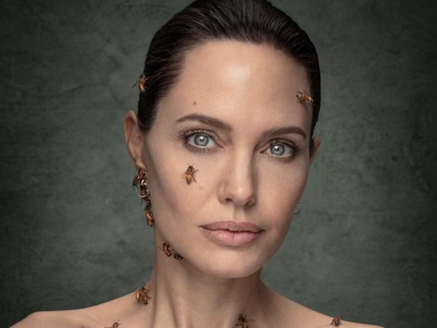 Spektakuläre Bilder: Bienen krabbeln über Angelina Jolie