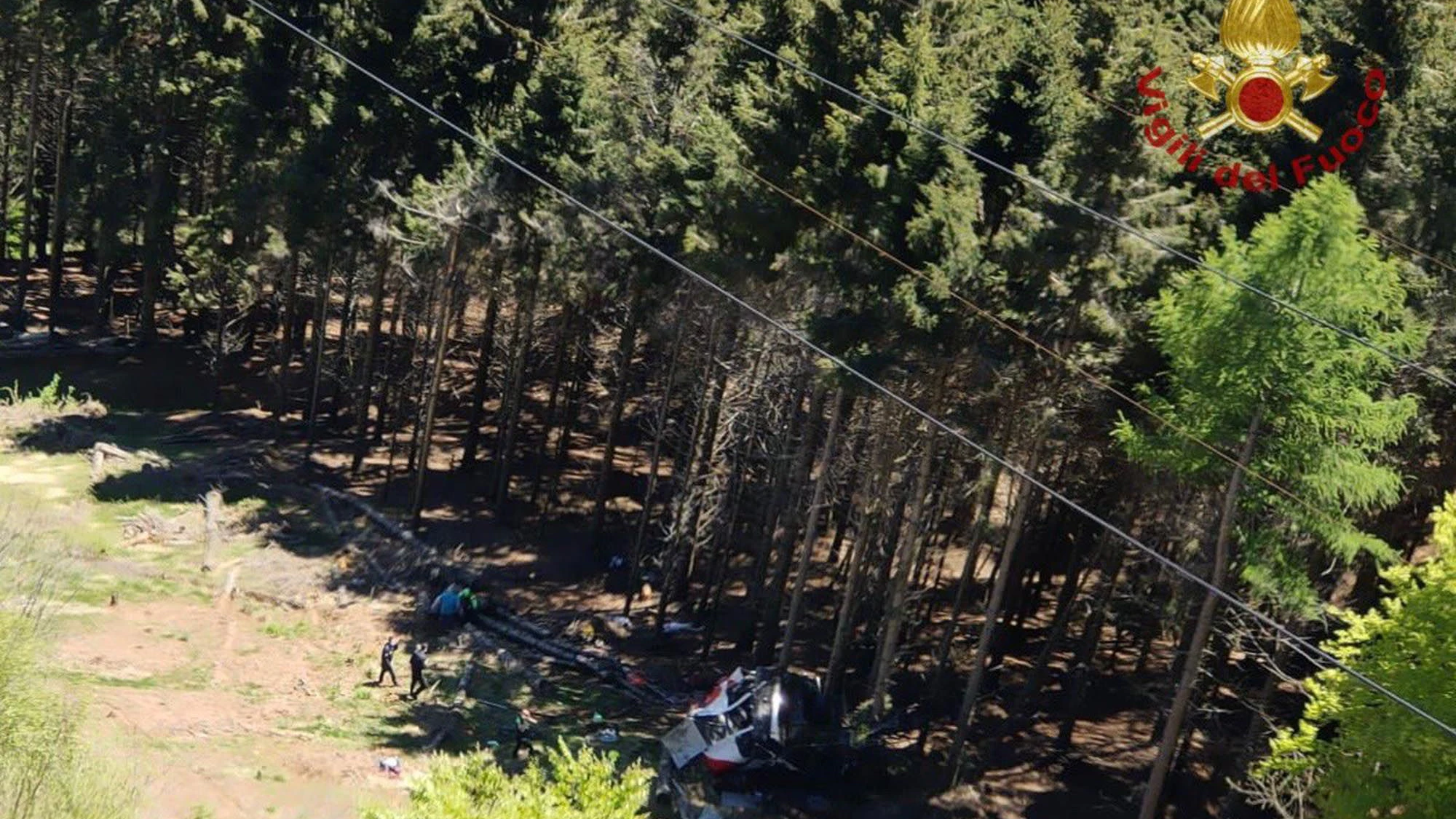 Die Aufnahme der Feuerwehr zeigt eine abgestürzte Gondel, die in einem Waldstück liegt.&nbsp;
