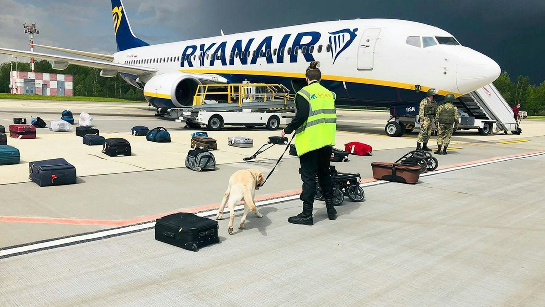 Ein Sicherheitsmann inspiziert mit einem Spürhund das Gepäck eines Ryanair-Flugzeuges. Belarussische Behörden hatten ein Flugzeug auf dem Weg von Athen nach Vilnius zur Landung gebracht. 
