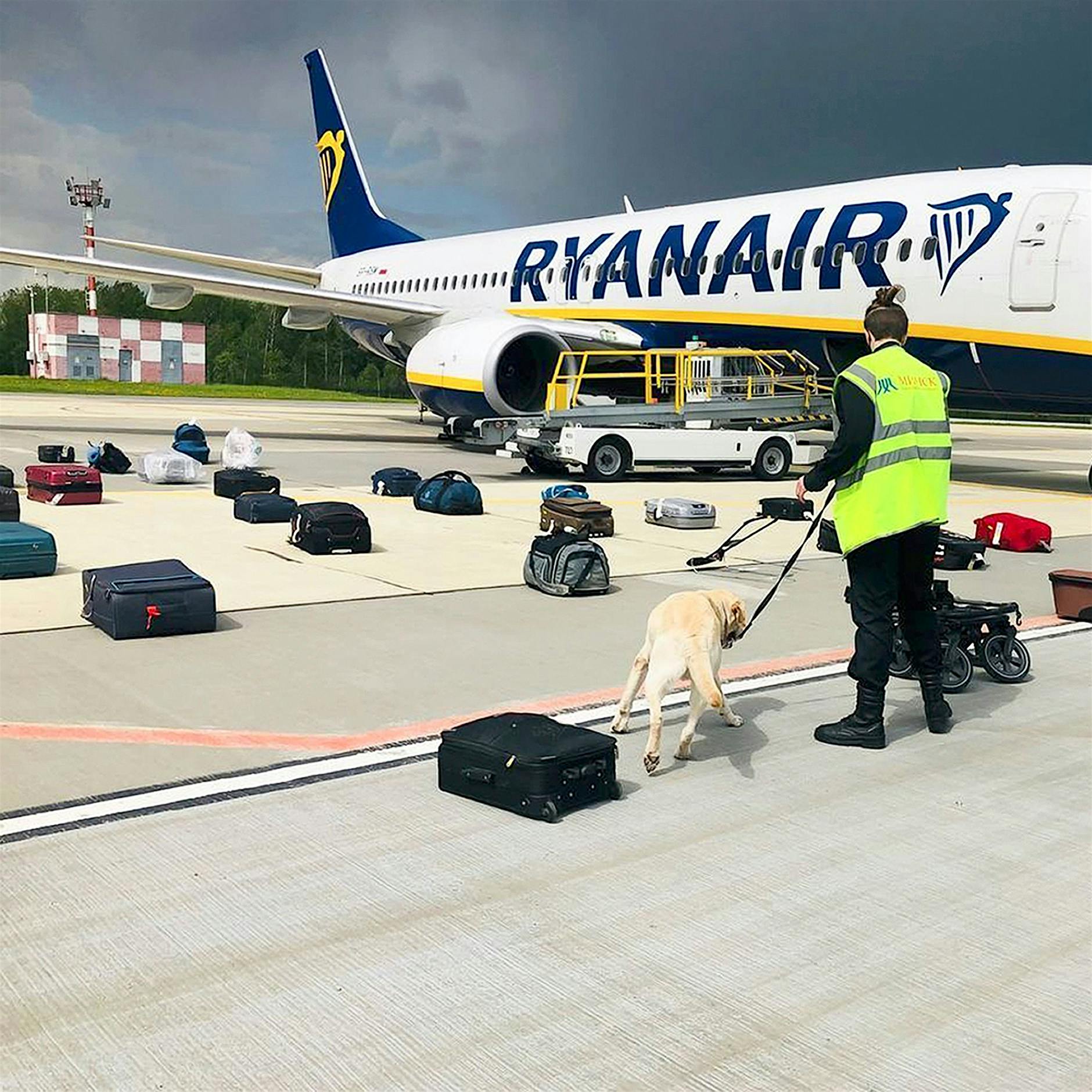 Entführung von Roman Protassewitsch in Belarus: „Es ist schlicht Terrorismus“