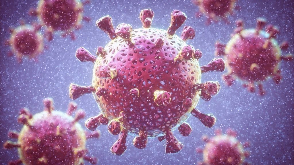 Das Coronavirus in einer Illustration.