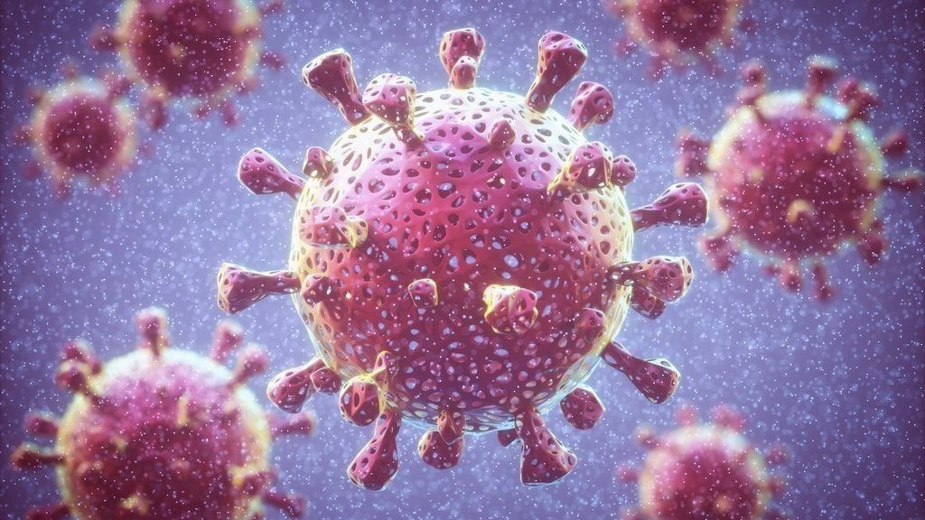 Das Coronavirus in einer Illustration.