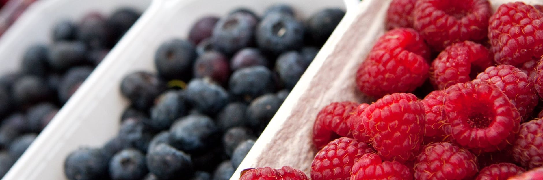 TK-Obst oder frisches? Heidelbeeren und Himbeeren verführen meist gleich zu Beginn der Einkaufsrunde zum Kauf. Aber die aus der Kühltruhe sind besser.