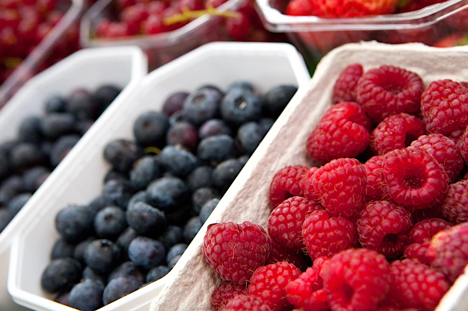 TK-Obst oder frisches? Heidelbeeren und Himbeeren verführen meist gleich zu Beginn der Einkaufsrunde zum Kauf. Aber die aus der Kühltruhe sind besser.