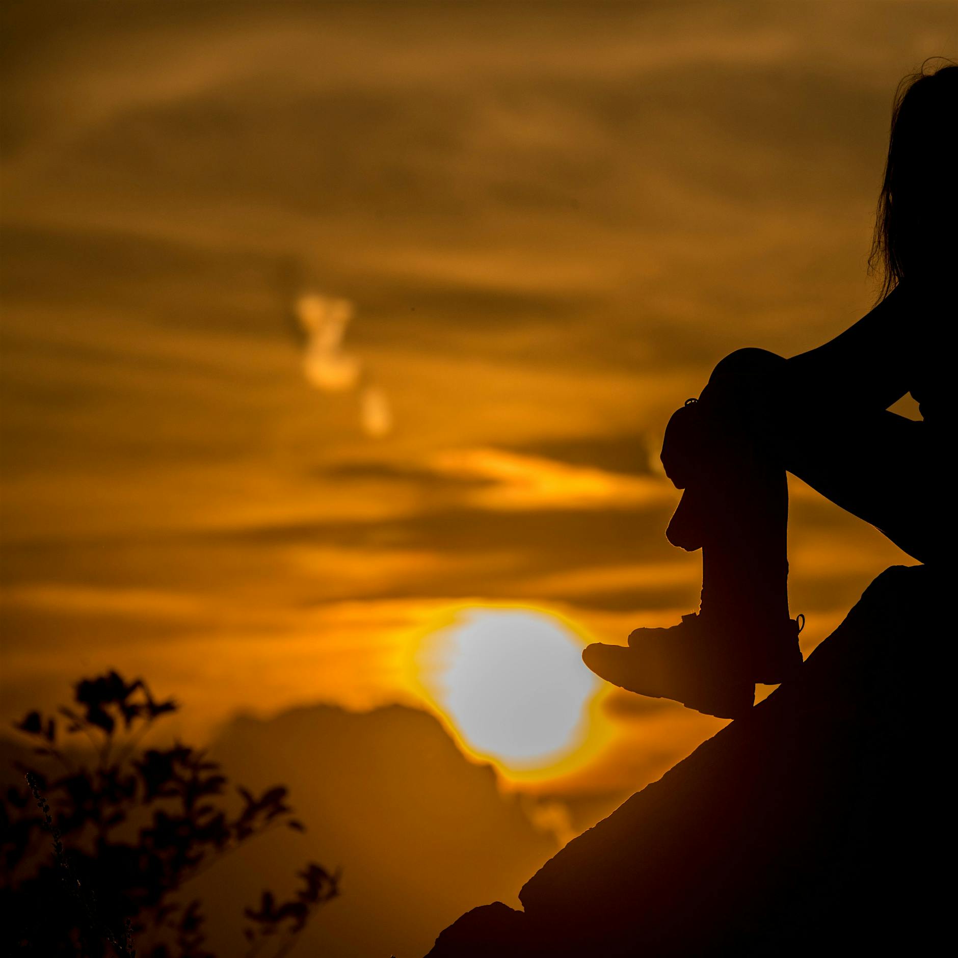 Wir haben den Wahnsinn ausgesperrt, um uns der Vernunft zu unterwerfen