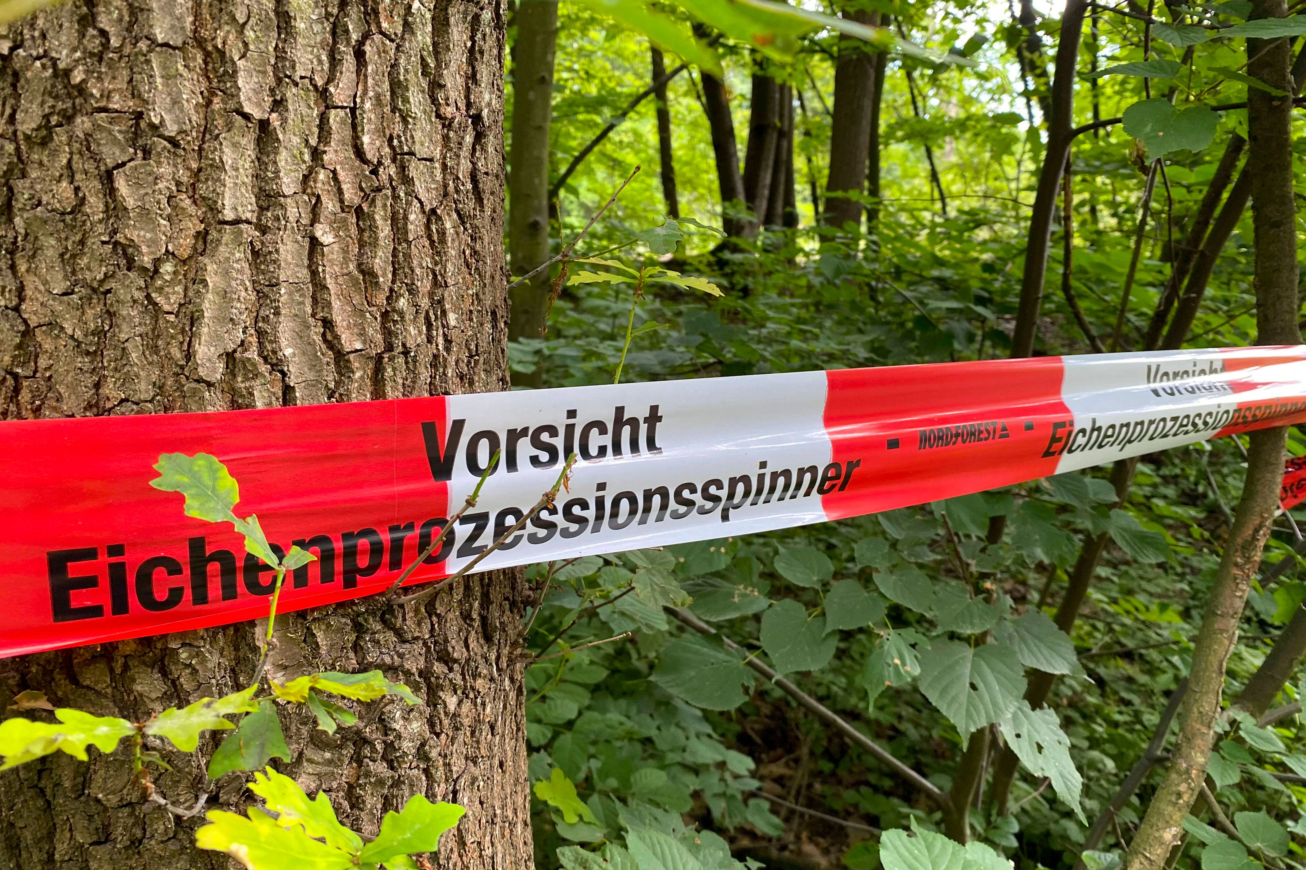 <strong>Bekämpfung des Schädlings</strong>