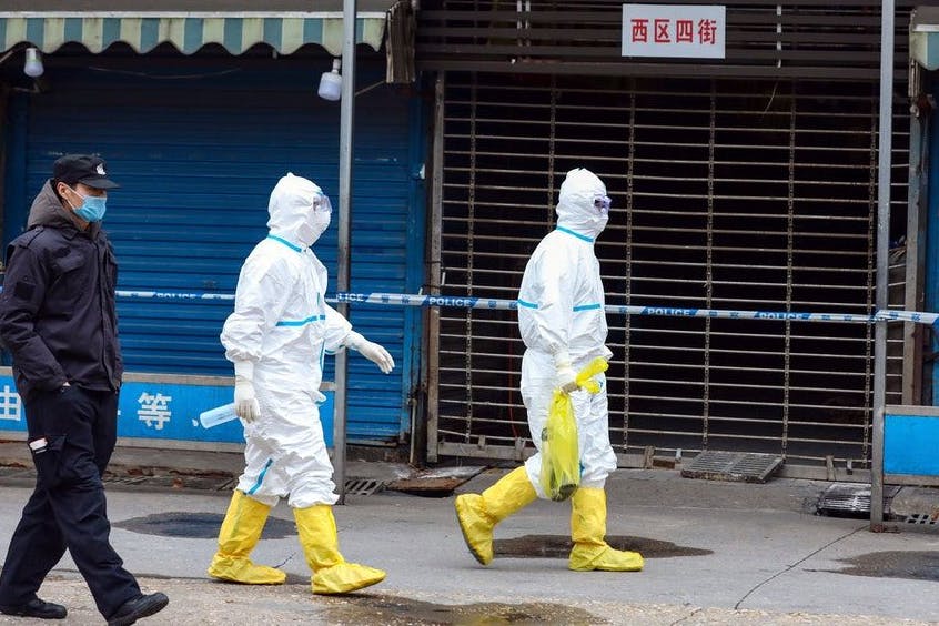 Wuhan, Ende Januar 2020: Arbeiter in Schutzkleidung tragen eine Tasche, in der sich ein Riesensalamander befindet, der vom Huanan Seafood Market entkommen sein soll.