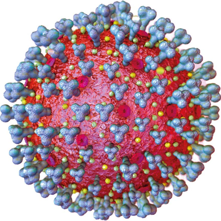 Mikroskopische Ansicht des Corona-Virus