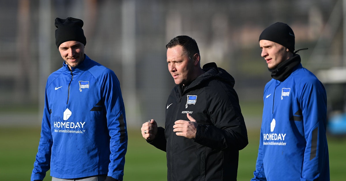 Hertha BSC Trainer Pal Dardai träumt von einer neuen Nachwuchsoffensive Hertha BSC Trainer Pal Dardai träumt von einer neuen Nachwuchsoffensive