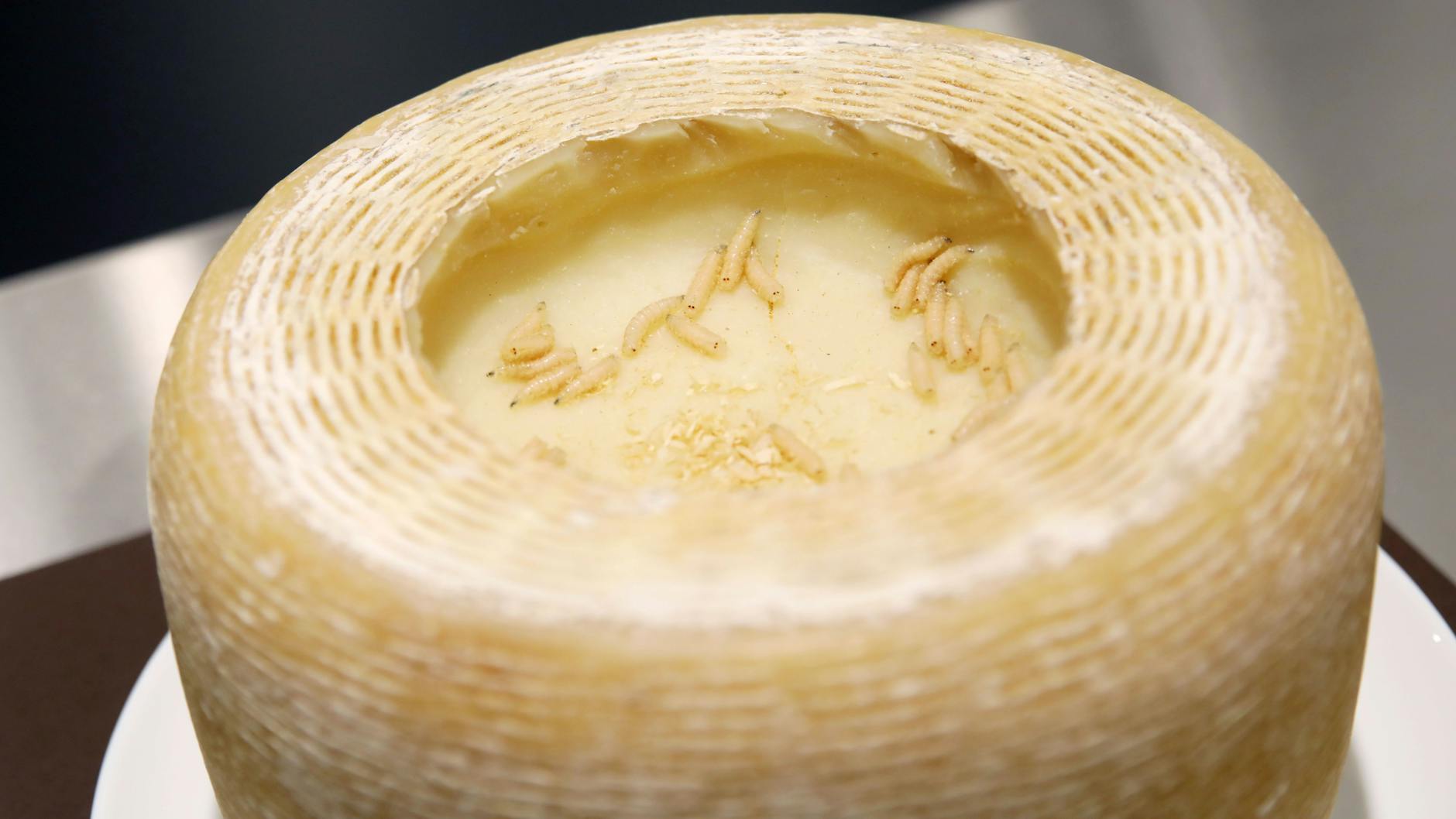 In solchem Maden-Käse sorgt der Kot von Maden für die richtige Würze.