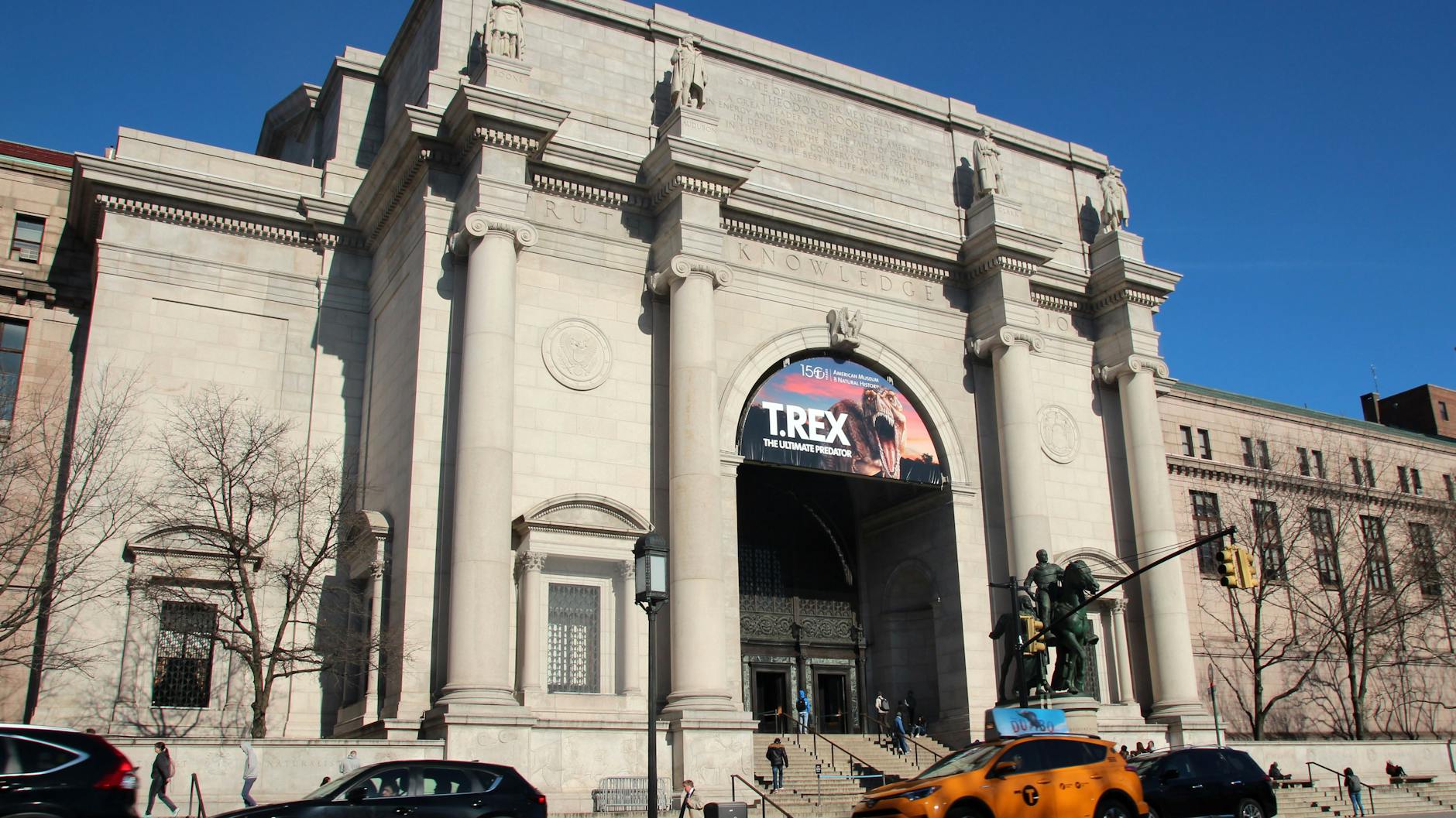 Das American Museum of Natural History in New York: Hier gibt es Spritzen direkt unter der Nachbildung eines Blauwals.