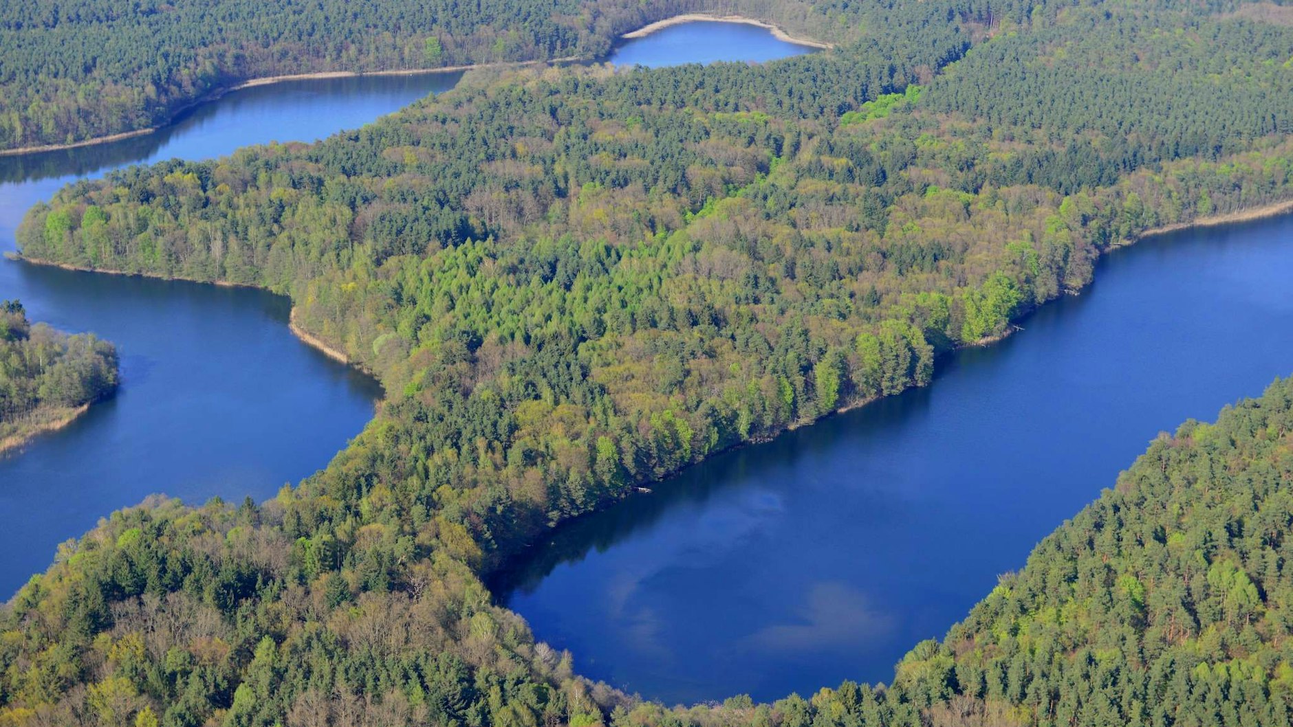 Zwischen dem Großdöllner See und dem Wuckersee lag Carinhall. Der Landsitz bestand aus mehreren Häusern und Höfen, Hallen und Sälen, einer Adjutantur und Telefonzentrale sowie einem Luftschutzbunker.
