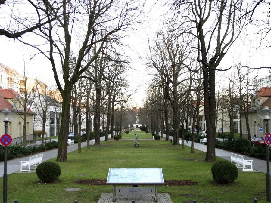 Ansprechpartner in Berlin