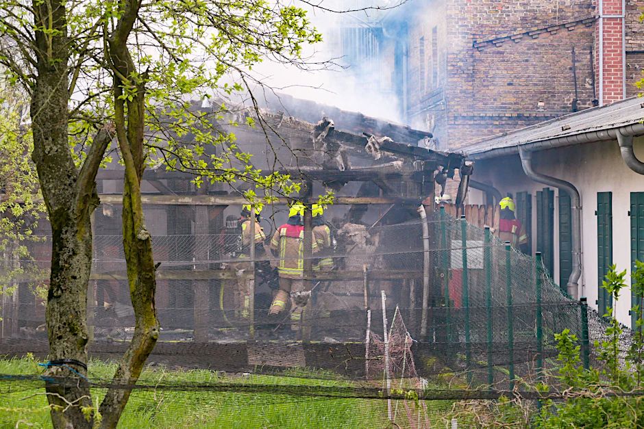 Die Berliner Feuerwehr im Einsatz. Es brannten Stallanlagen, in denen seltene Hühner gezüchtet werden.&nbsp;&nbsp;
