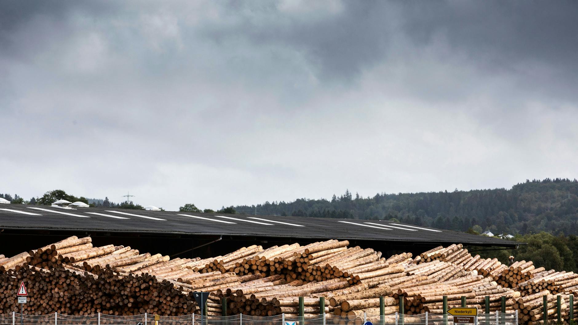 Rundholz liegt vor einem Sägewerk und wartet auf Verarbeitung.