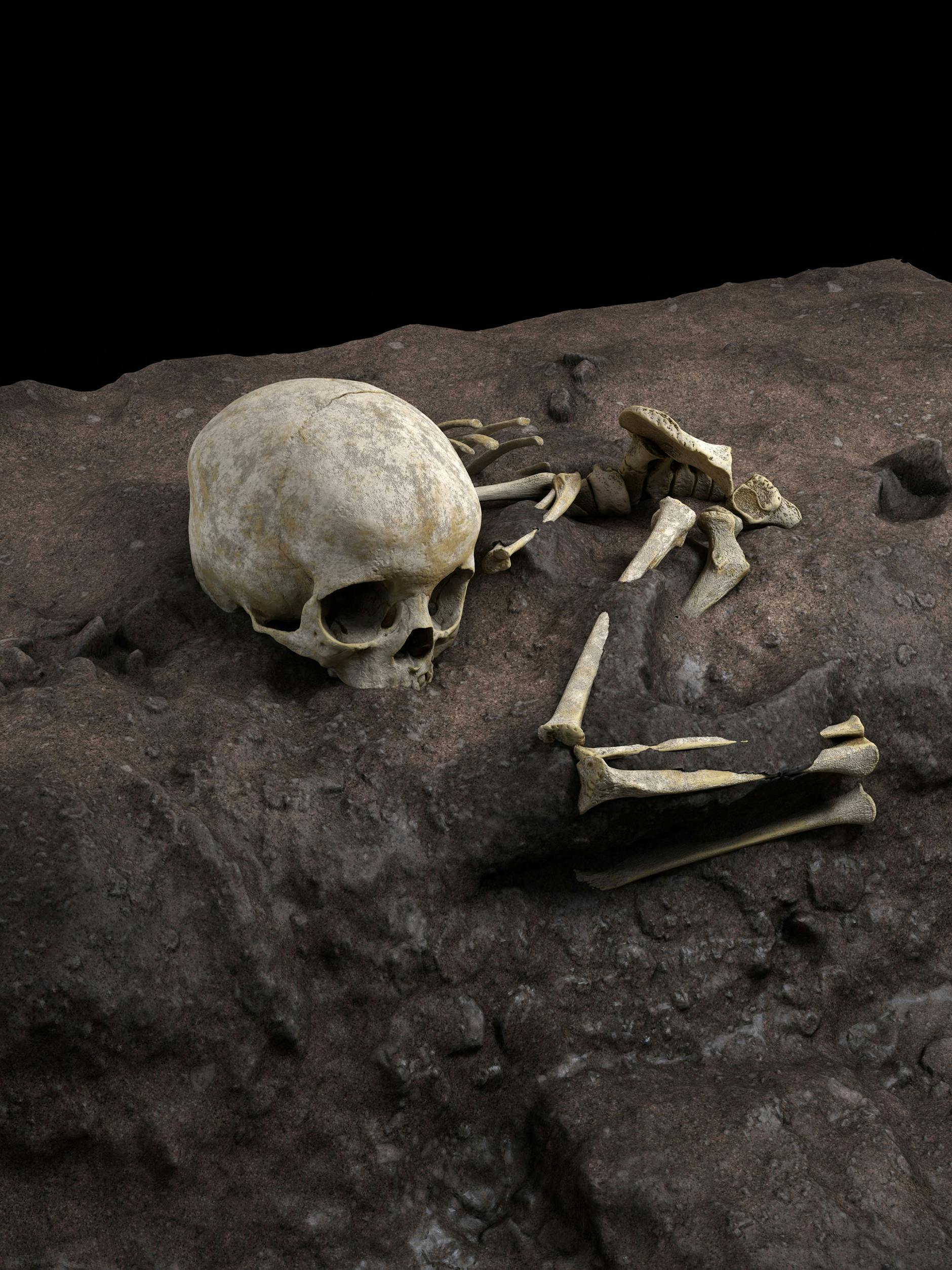 Mit angezogenen Knien und einem nach vorn gebeugten Oberkörper ist das auf der Seite liegende Kind in einer flachen Grube bestattet worden.