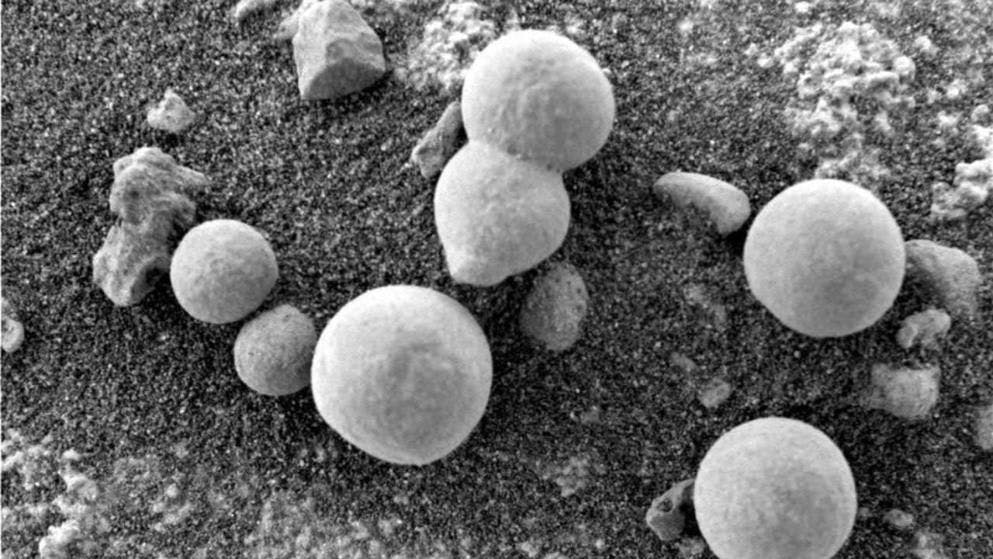 Forscher behaupten, auf dem Mars würden Pilze wachsen. Beweisen sollen das Bilder, die der NASA-Rover „Curiosity“ vor einigen Jahren gemacht hat.