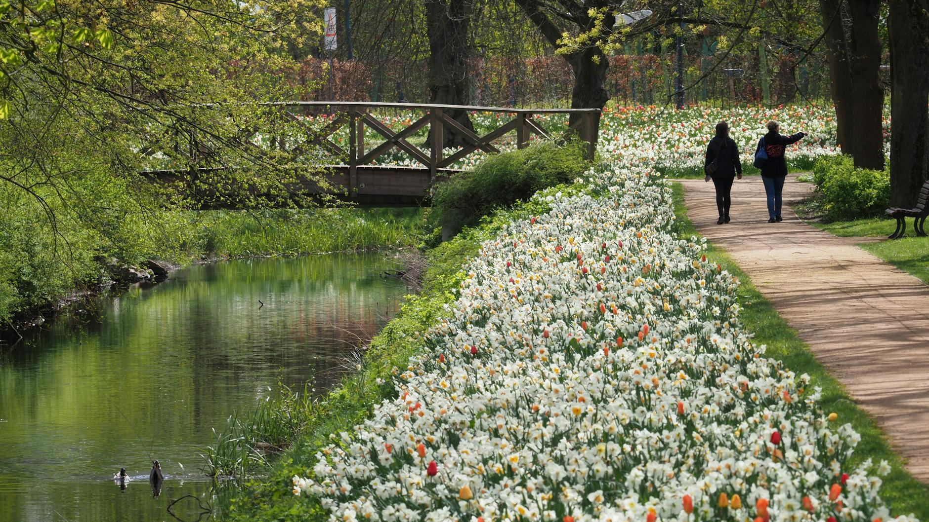 In Brandenburg entdecken auch wegen der Einschränkungen durch die Corona-Bestimmungen viele Menschen das Wandern für sich, wie hier in Wittstock.