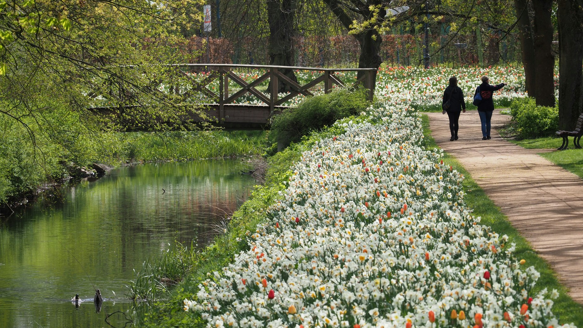 In Brandenburg entdecken auch wegen der Einschränkungen durch die Corona-Bestimmungen viele Menschen das Wandern für sich, wie hier in Wittstock.