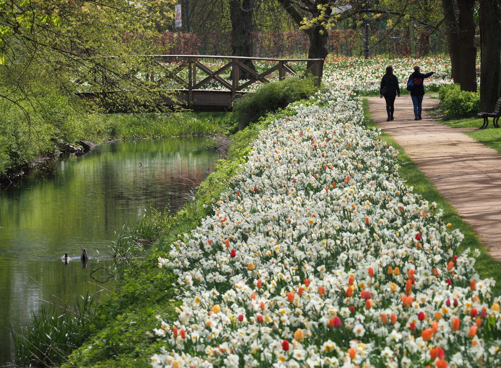 Corona-Lockdown: Wandern in Brandenburg so beliebt wie nie