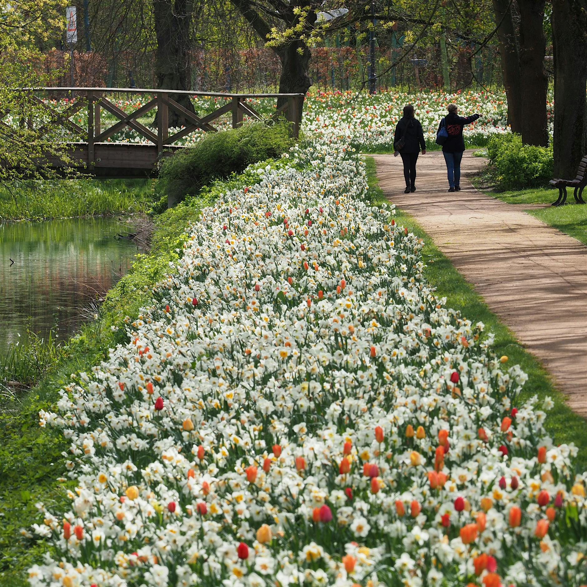 Corona-Lockdown: Wandern in Brandenburg so beliebt wie nie