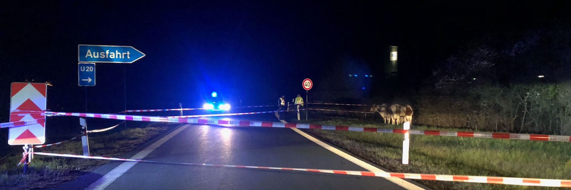 Polizisten mussten in Sachsen von einem Gewitter aufgeschreckte Rinder wieder einfangen.