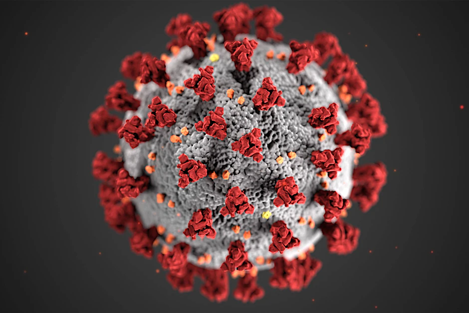 Eine Illustration des Coronavirus.