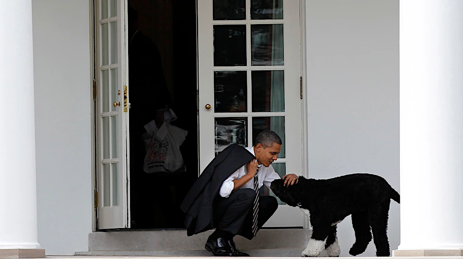 Barack Obama im Jahr 2012 mit Hund Bo.