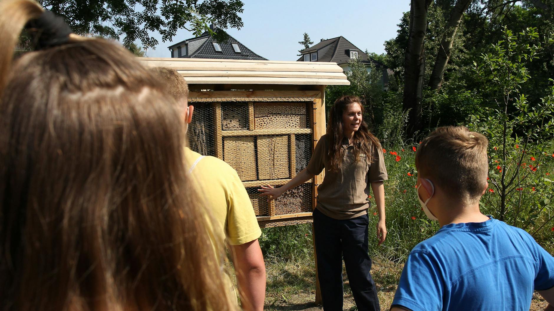 Im grünen Klassenzimmer gibt es auch ein Insektenhotel. Lehrerin Svenja Eisenbarth erklärt der Klasse, was man mithilfe dieser Herbergen über Bienen erfahren kann.