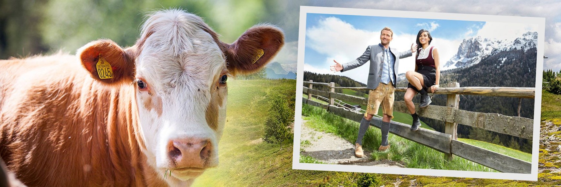 Christian Düren und Collien Ulmen-Fernandes moderieren Die Alm - Promischweiß und Edelweiß.