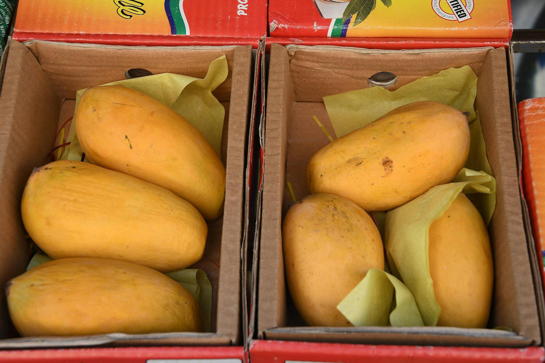 Mangoes from Pakistan.