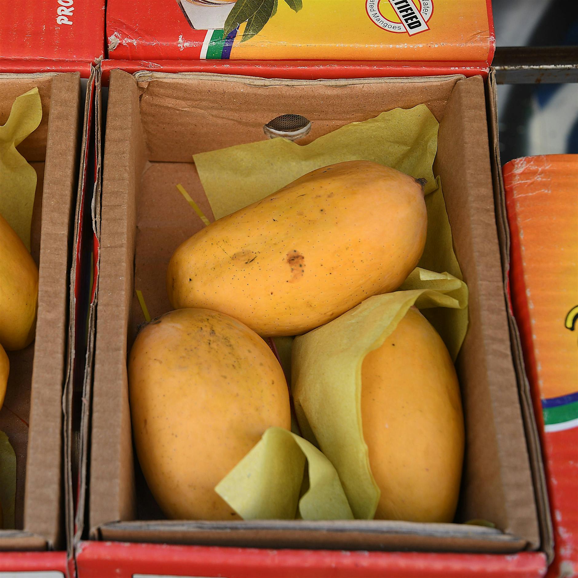 Are mangoes the Pakistani answer to Spargel?