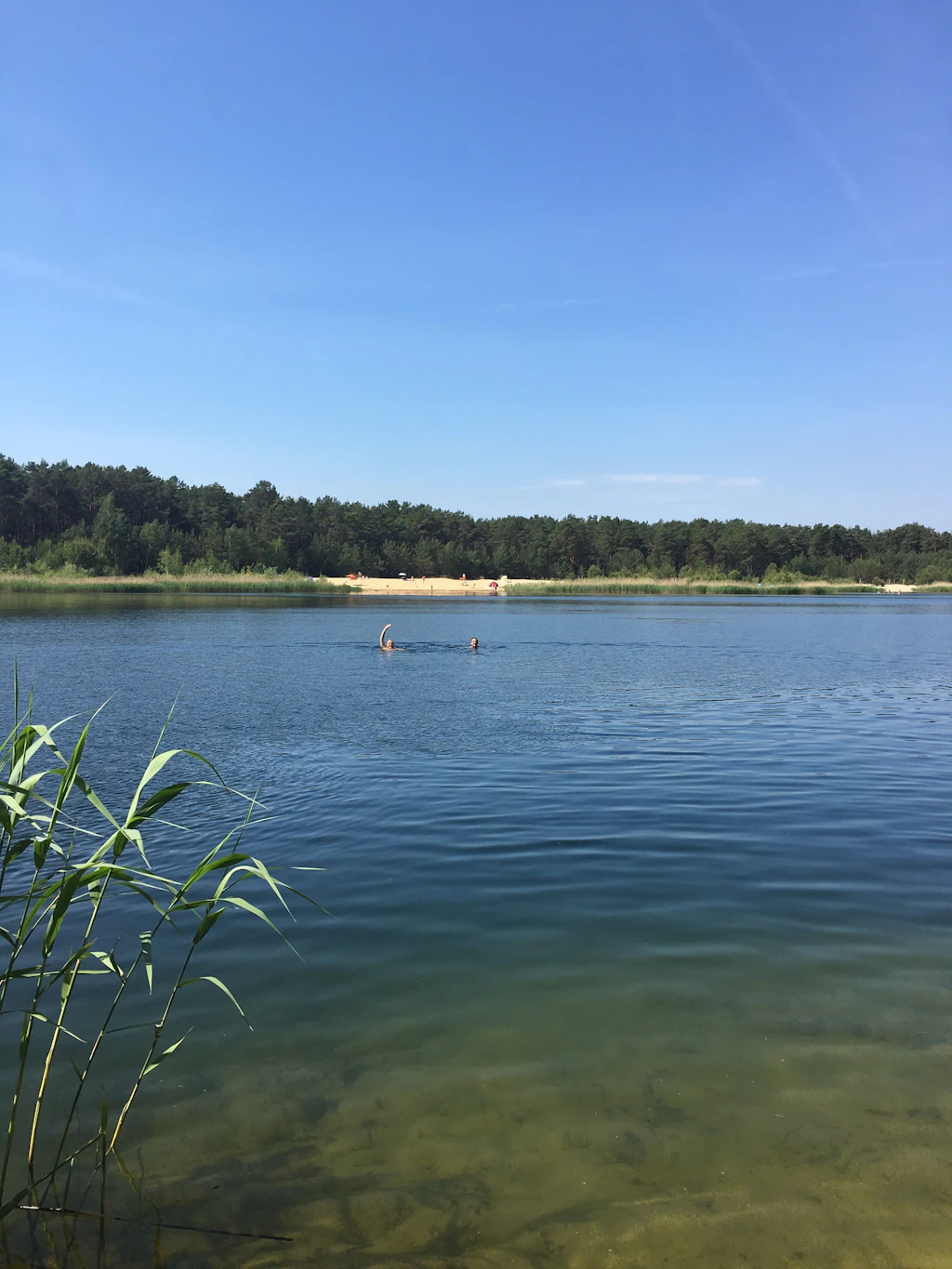Der Bernsteinsee: Platz für alle