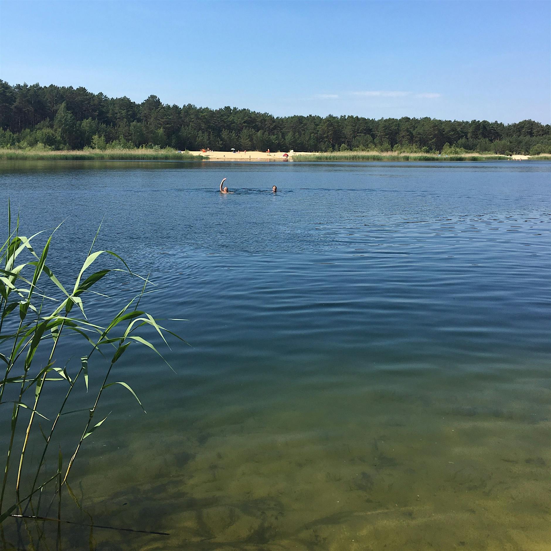 Der Bernsteinsee: Platz für alle