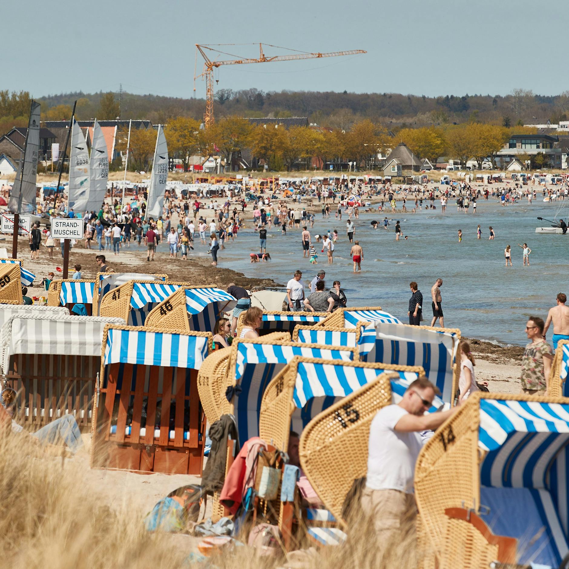 Statistik-Experten erklären: Darum werden wir Corona trotz Impfung nicht ausrotten können