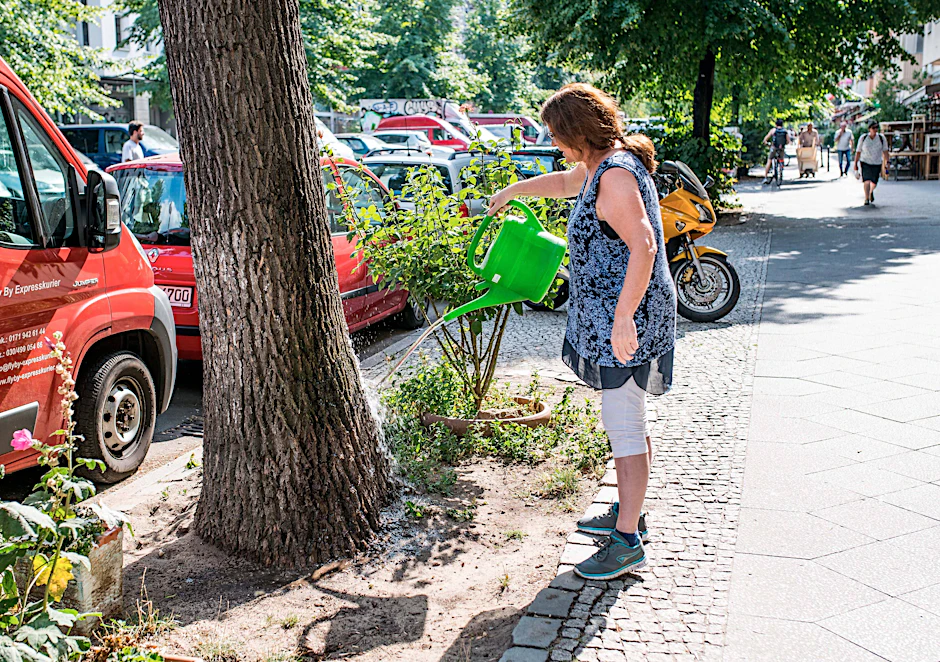 Berliner sind aufgerufen, Bäume in ihrer Straße zu bewässern (Archivbild).