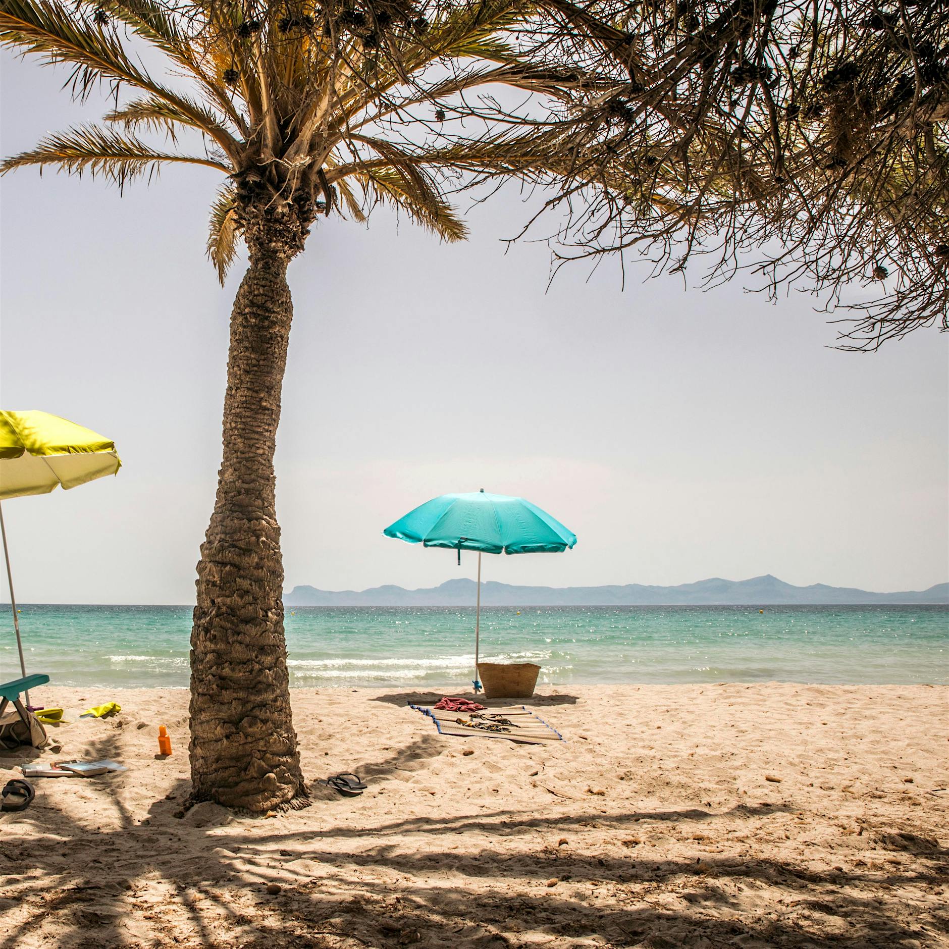 Checkliste für den Urlaub: Das sollten Sie in diesem Jahr beachten