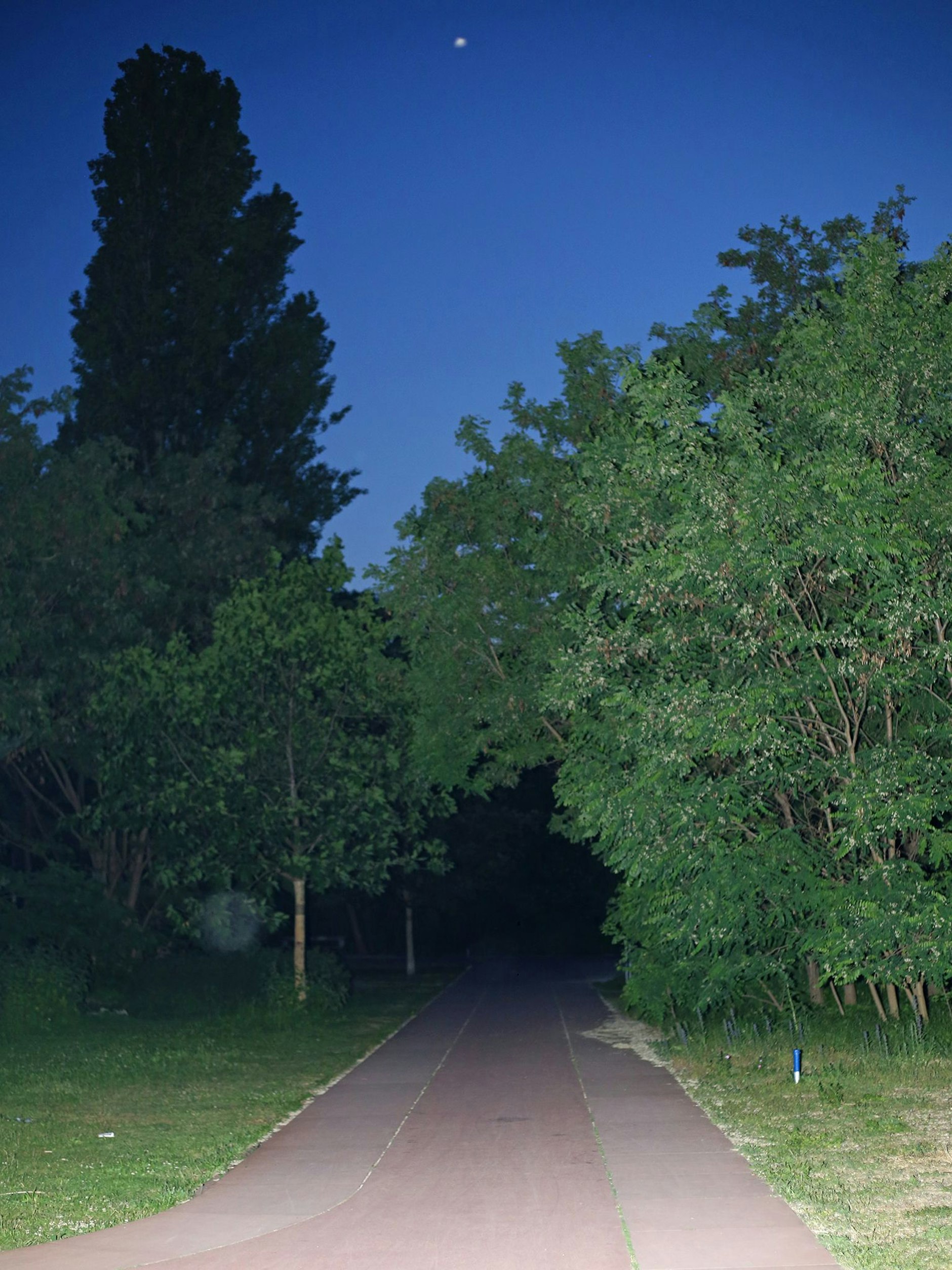 Abends sind die Wege im Park nicht beleuchtet.