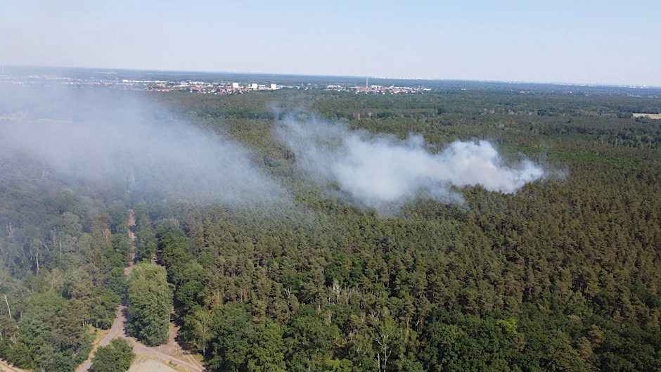 Erst am Freitag kam es zu einem größeren Waldbrand in Brandenburg.