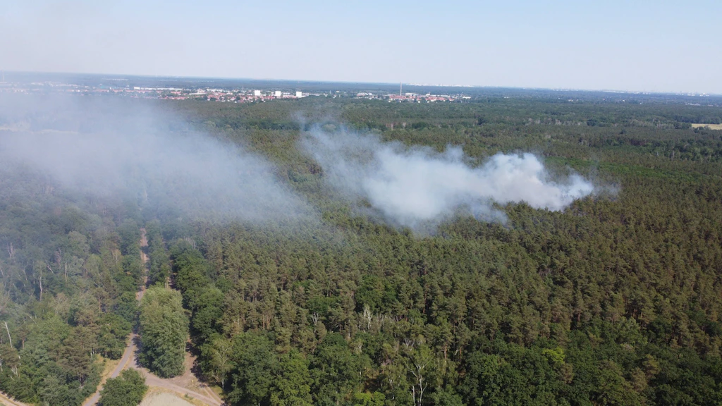 Hohes Risiko: Was Sie über Waldbrände wissen sollten