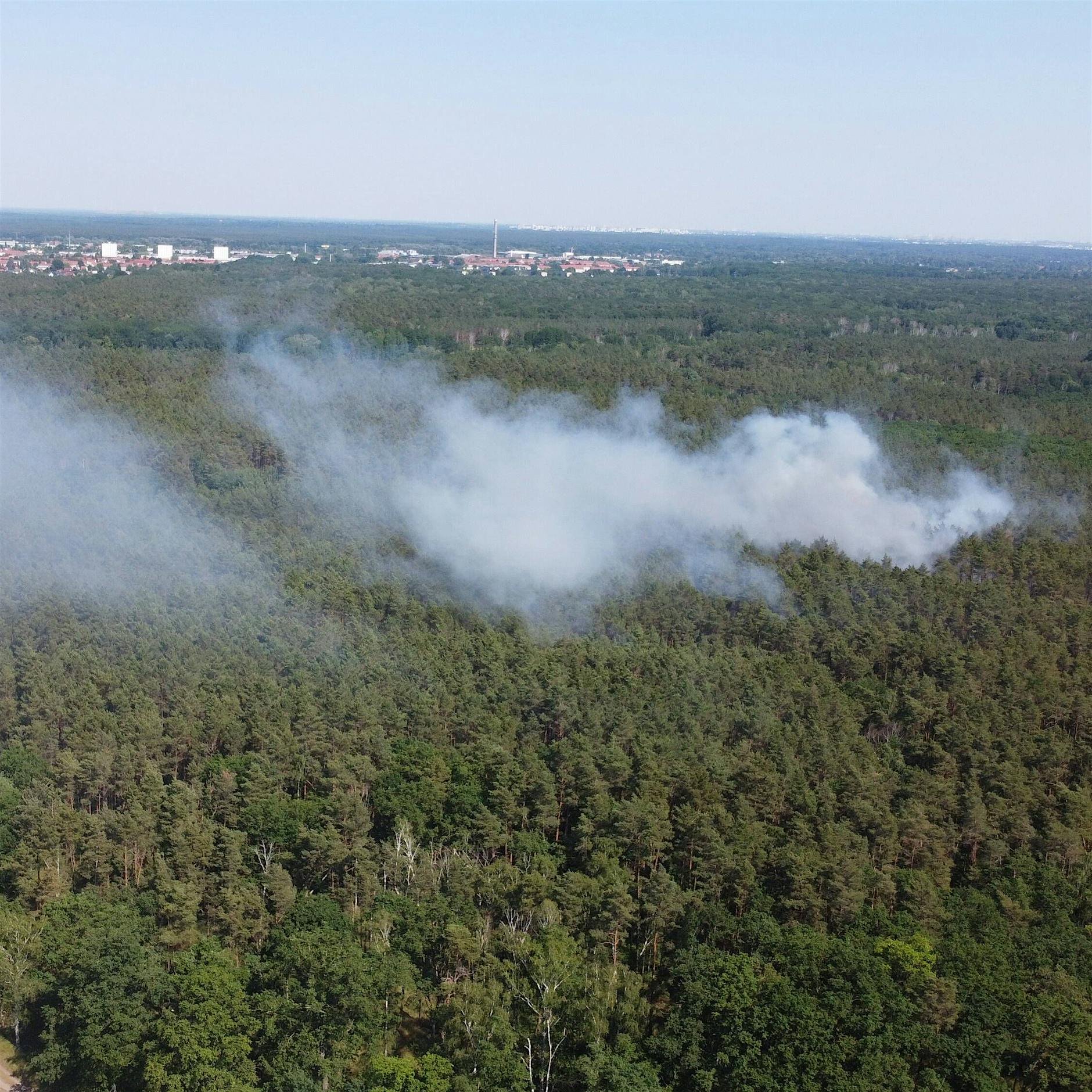Hohes Risiko: Was Sie über Waldbrände wissen sollten