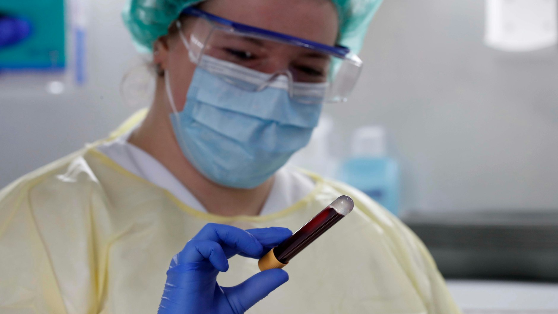 Antikörper im Blut? Dennoch gilt man nur als genesen, wenn die Infektion höchstens ein halbes Jahr her ist (Symbolbild).