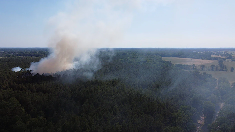 Bei Bötzow stehen mehrere Hektar Wald in Flammen.